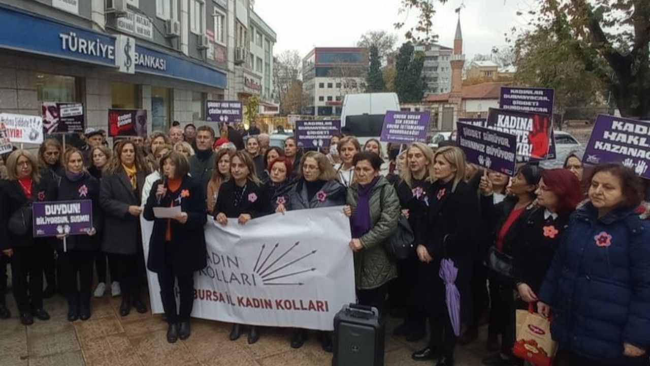 CHP'li kadınlar 25 Kasım için meydanlarda