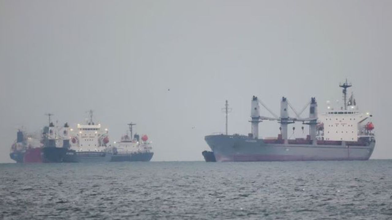 Ukrayna: İki kargo gemisi Tahıl Anlaşması’nın sona ermesiyle oluşturulan geçici koridoru kullanıyor