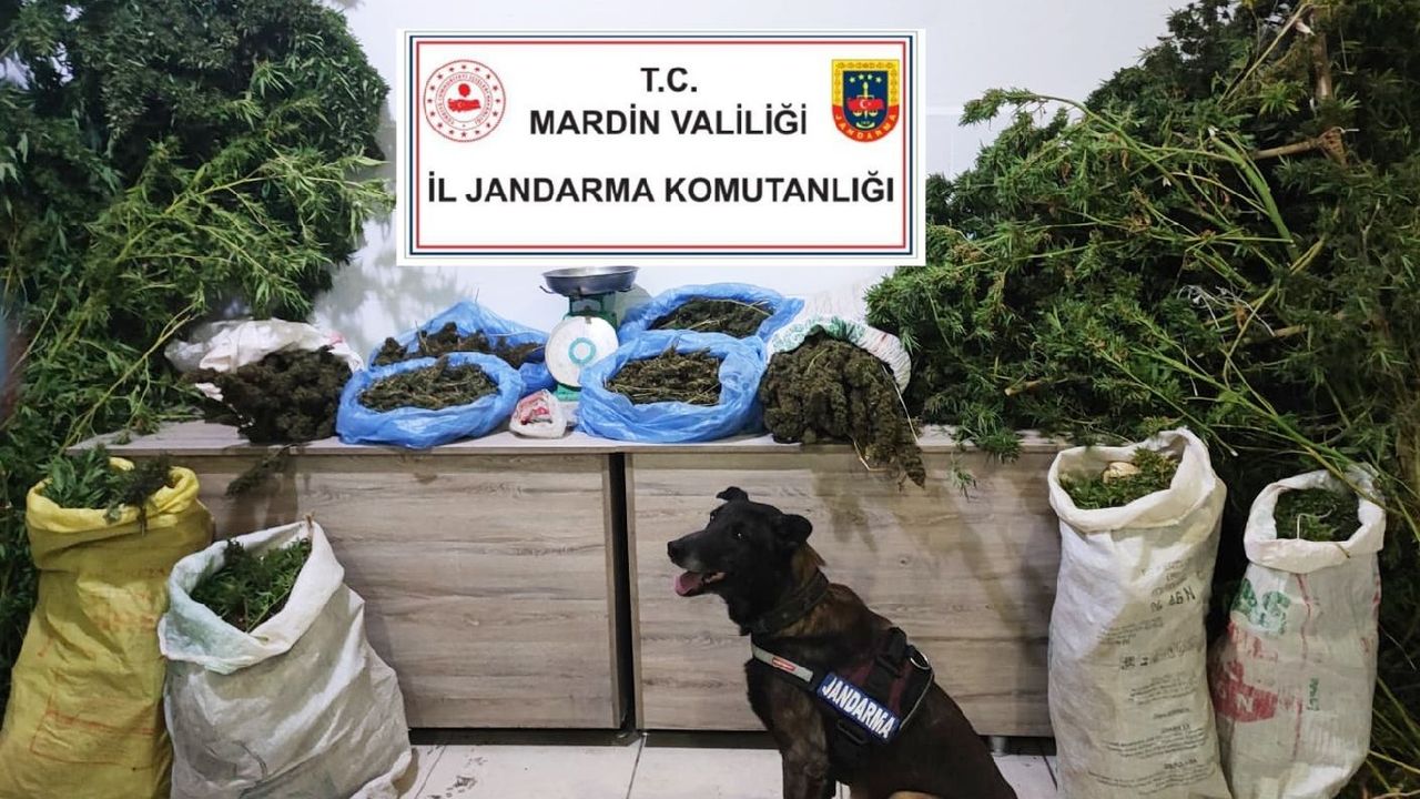 Mardin’de uyuşturucu operasyonu: 1 gözaltı