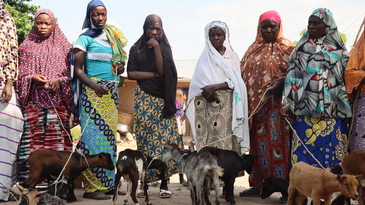 Umut Kervanı Togo'da onlarca aileye süt keçisi hediye etti