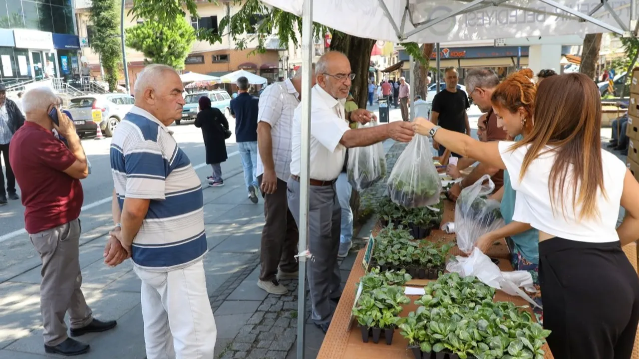 Ordu’da kışlık sebze atağı: 200 bin fide üreticiyle buluşuyor