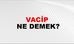 Vacip ne demek? Vacip Ne anlama gelir?
