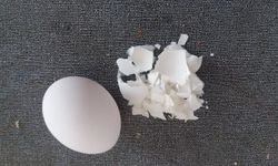 Yumurta kabuğu yeni sektör oluşturuyor