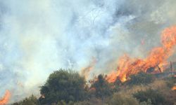 Sicilya Adası'ndaki orman yangını nedeniyle birçok kişi evlerini terk etti