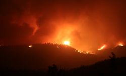 Adana'da orman yangını 