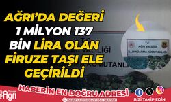 Ağrı'da 1 milyon 137 bin lira değerinde kaçak firuze taşı ele geçirildi