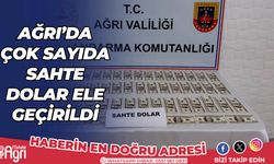 Ağrı'da çok sayıda sahte dolar ele geçirildi