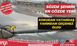 Ağrı'nın en gözde yeri kanalizasyon kokusundan geçilmiyor