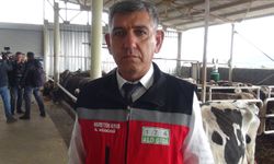 Depremzede vatandaşlara büyükbaş hayvan desteği 