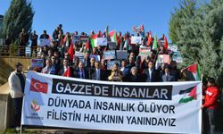 Siirt Üniversitesi, Gazze'nin çığlığına sessiz kalmadı