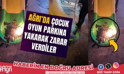 Ağrı'da çocuk oyun parklarını yaktılar