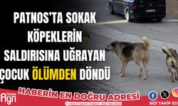 Patnos'ta sokak köpeklerin saldırısına uğrayan çocuk ölümden döndü