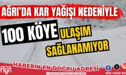 Ağrı ve Kars'ta kar nedeniyle 128 yerleşim yerine ulaşım sağlanamıyor