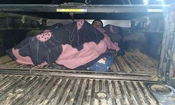 Ağrı'da 7 Afganistan uyruklu kaçak göçmen yakalandı