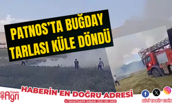 Bir yangın haberide Ağrı’dan! Tarla küle döndü