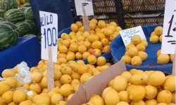 Limon üreticisinin sesine duyarsızlık fahiş fiyatlara neden oldu