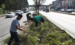 Yalova'da orta refüjlere kapsamlı temizlik