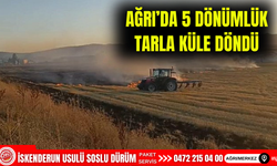 Ağrı’da 5 dönümlük tarla küle döndü