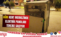 Ağrı kent merkezinde Elektrik panoları tehlike saçıyor