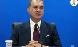 Çelik: AK Parti dünya siyasetinde bir marka oldu