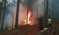 Muğla Büyükşehir orman yangınlarında tüm gücüyle sahada