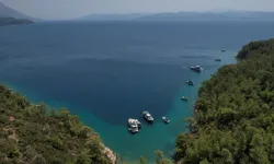 Muğla’ya 220 davalı koruma