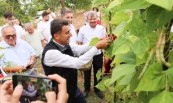 Türkiye'nin en güzel barbunyası: Kınık Barbunyası