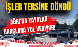 Ağrı’da yayaya ‘öncelik’ Yok!