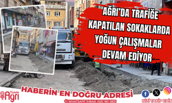 Ağrı’da trafiğe kapatılan sokaklarda çalışmalar devam ediyor