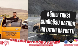 Ağrılı taksi sürücüsü kazada hayatını kaybetti