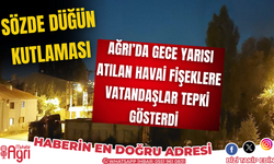 Ağrı'da Gece Yarısı Atılan Havai Fişeklere Vatandaşlar Tepki Gösterdi