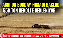 Ağrı’da buğday hasadı başladı