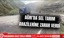 Ağrı'da Sel Tarım Arazilerine Zarar Verdi