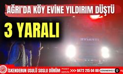 Ağrı'da Köy Evine Yıldırım Düştü