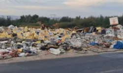 Aydın'da sanayi esnafını bezdiren görüntü