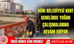 Ağrı Belediyesi Kent Genelinde Yoğun Çalışmalarına Devam Ediyor