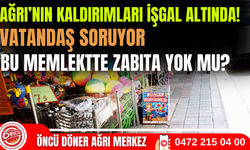 Ağrı'da kaldırımlar esnafın insafına mı bırakıldı?