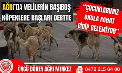 Ağrı'da veliler başıboş köpeklerden şikayetçi