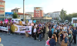 Keşan Kent Konseyi kadına ve çocuğa yönelik her türlü şiddete karşı ses yükseltti