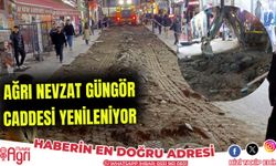 Ağrı Nevzat Güngör Caddesi Yenileniyor