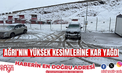 Ağrı'nın yüksek kesimlerine kar yağdı