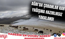 Ağrı’da çobanlar kar yağışına hazırlıksız yakalandı