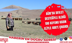 Ağrı'da devlet desteğiyle aldığı 100 koyunu 400'e çıkardı