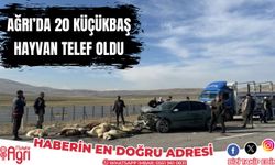 Ağrı'da 20 Küçükbaş Hayvan Telef Oldu