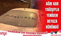 Ağrı’da yeniden kar yağışı etkili oldu