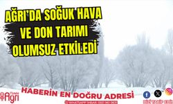 Ağrı'da Soğuk ve Don Tarımı Olumsuz Etkiledi