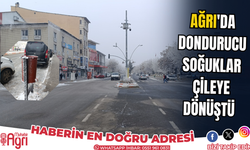 Ağrı'da dondurucu soğuklar çileye dönüştü