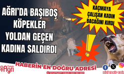 Ağrı’da Sabah Saatlerinde Kadına Köpekler Saldırdı