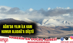 Ağrı’da Yılın İlk Karı Hamur Aladağ’a Düştü