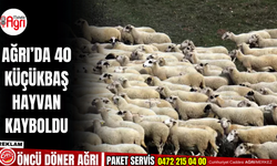 Ağrı’da 40 Küçükbaş Hayvan Kayboldu Üretici Yardım Çağrısında Bulundu